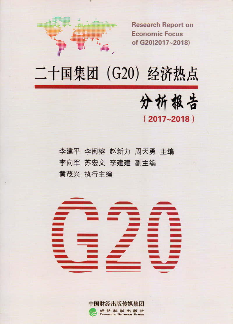 一级日逼的视频二十国集团（G20）经济热点分析报告（2017-2018）