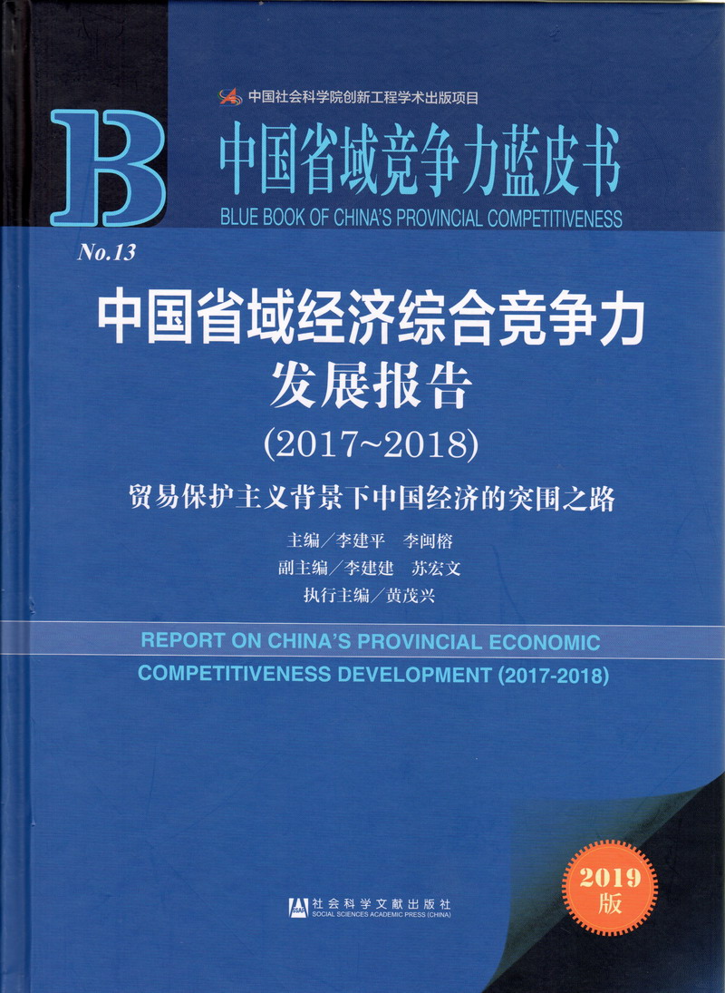 大吊插爆我的逼中国省域经济综合竞争力发展报告（2017-2018）